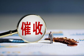 锡林郭勒债务清欠服务